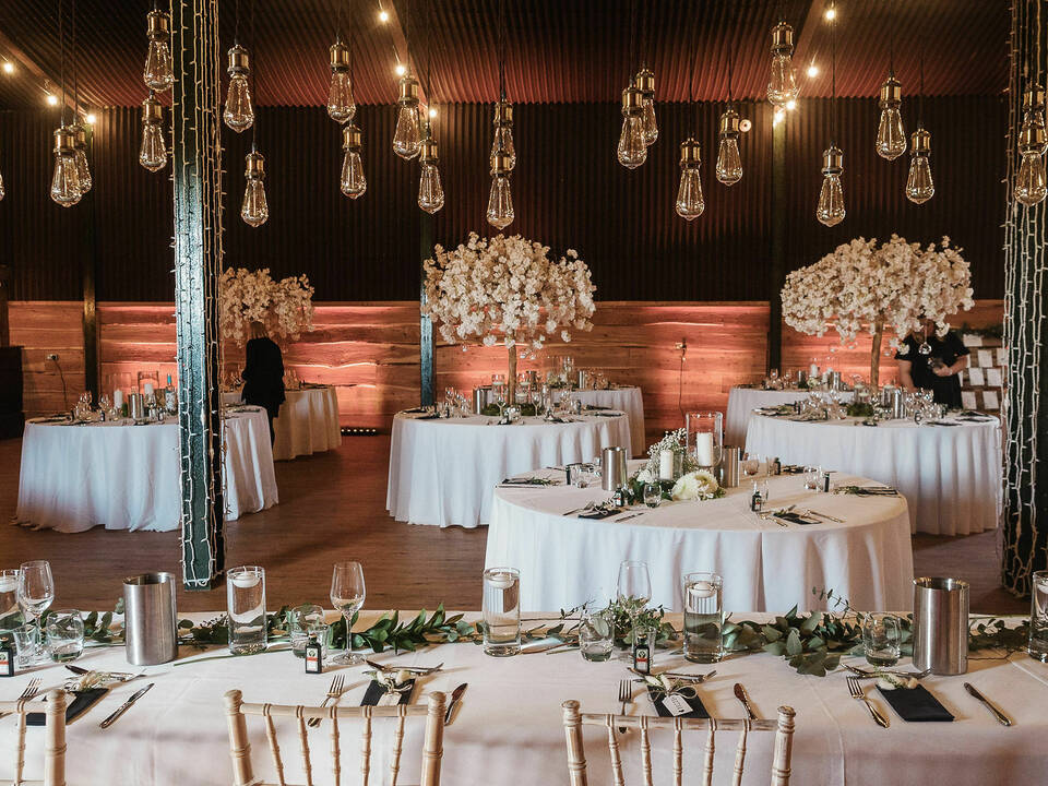 manual override of alt text