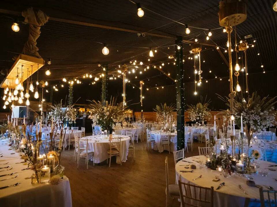 manual override of alt text