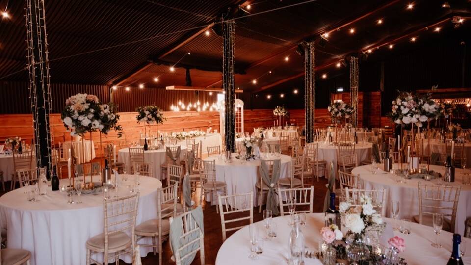 manual override of alt text