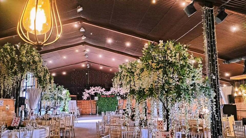 manual override of alt text