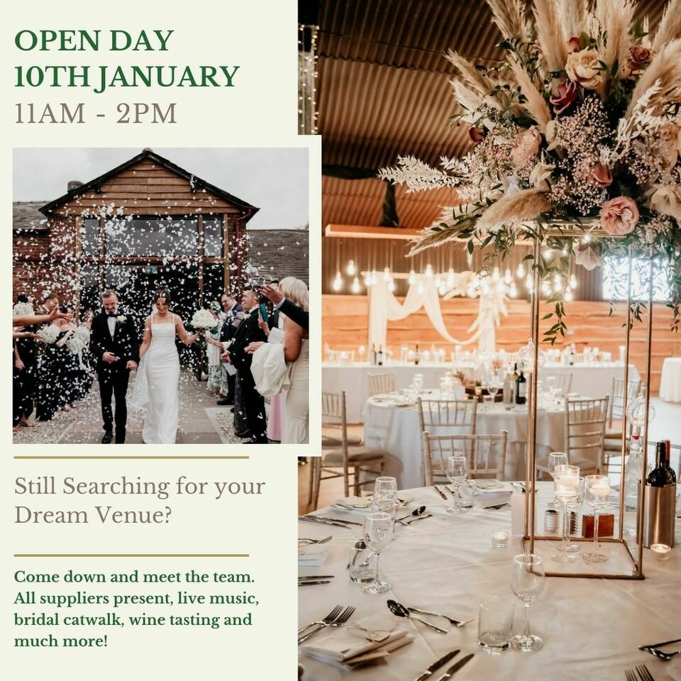 manual override of alt text