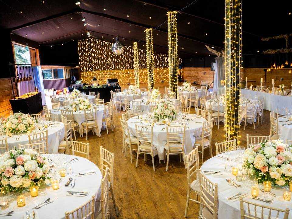 manual override of alt text