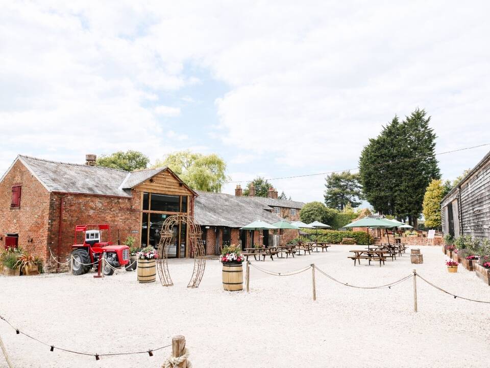 manual override of alt text