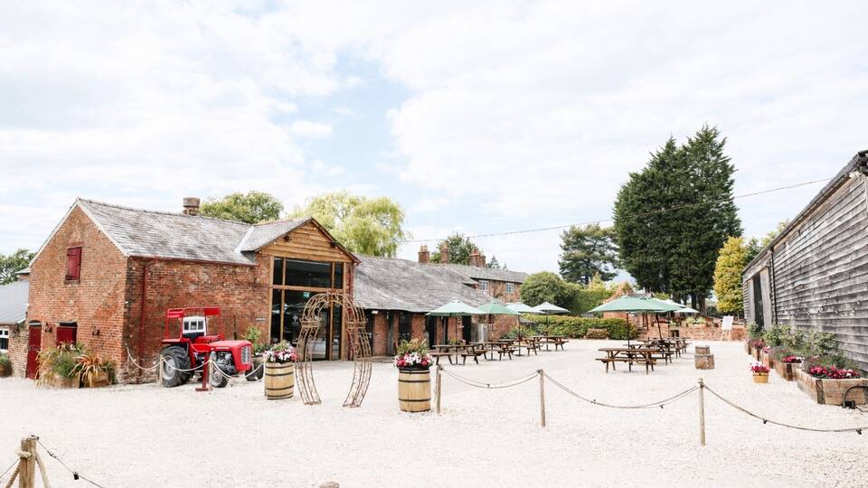 manual override of alt text