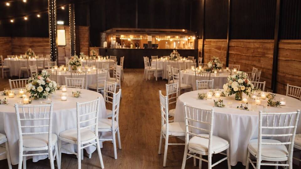 manual override of alt text