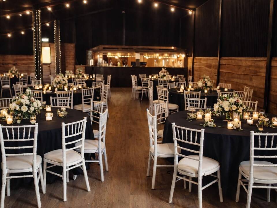 manual override of alt text