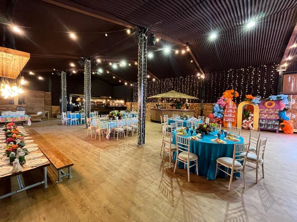 manual override of alt text