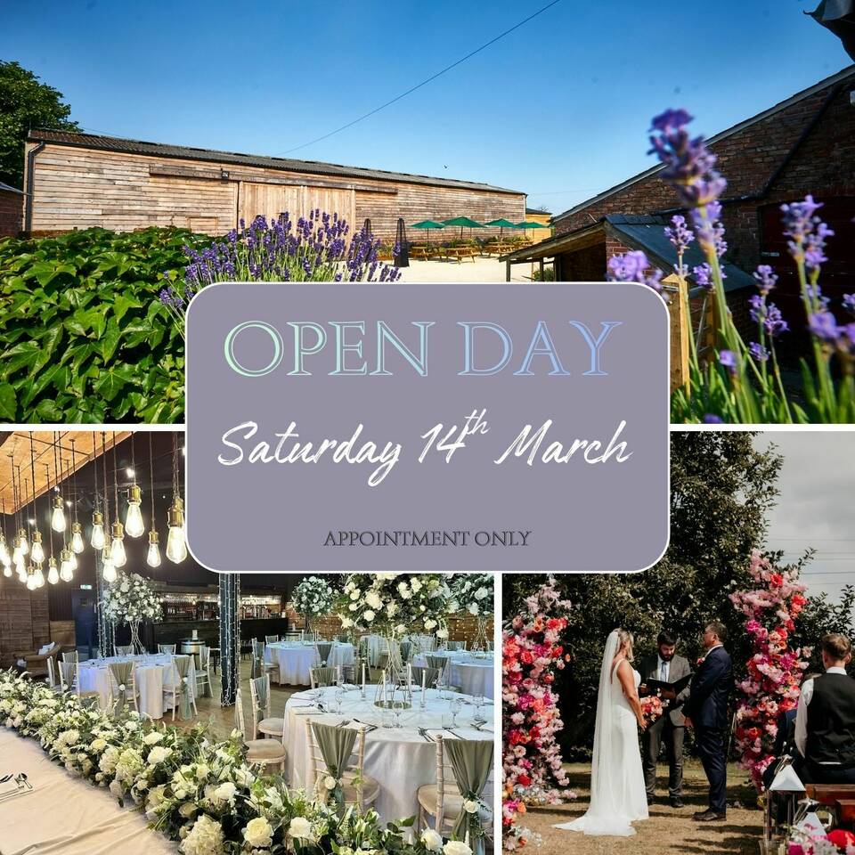 manual override of alt text