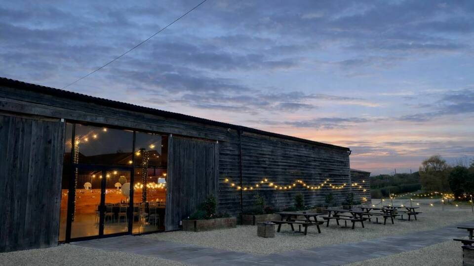 manual override of alt text