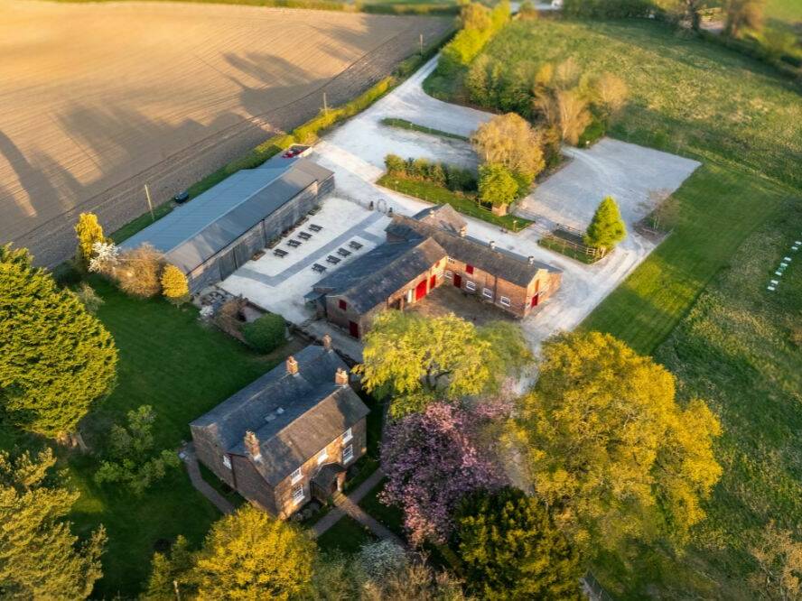 manual override of alt text