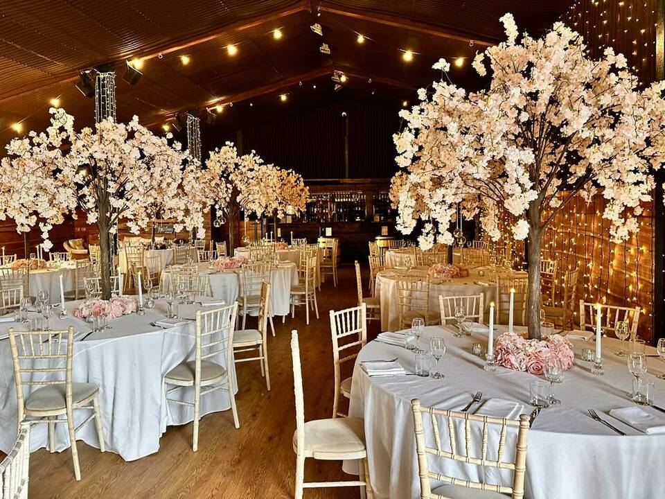 manual override of alt text