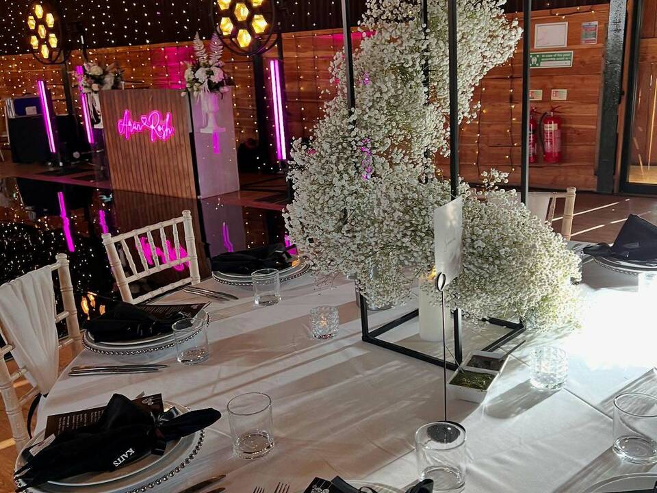 manual override of alt text