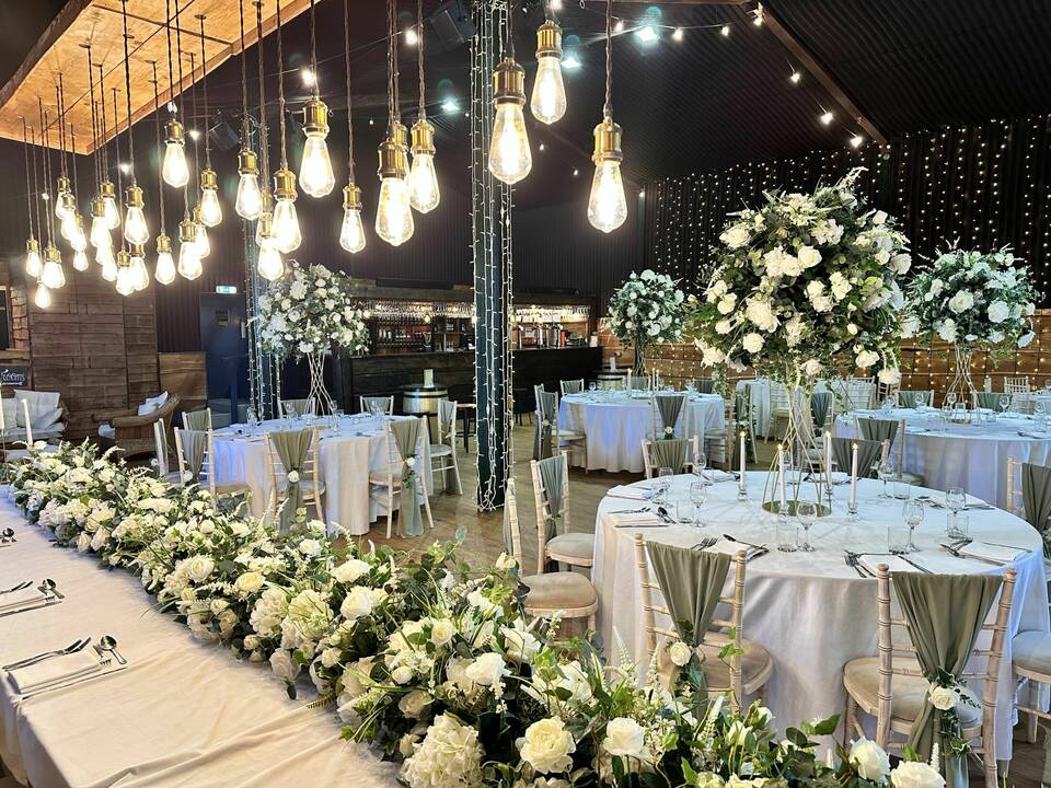 manual override of alt text